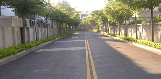 義竹產業園區道路照片