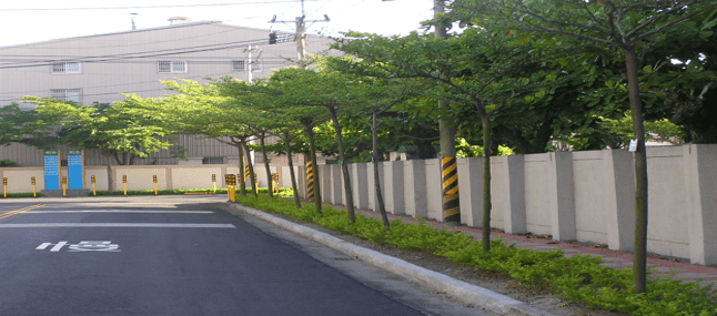 朴子產業園區道路照片