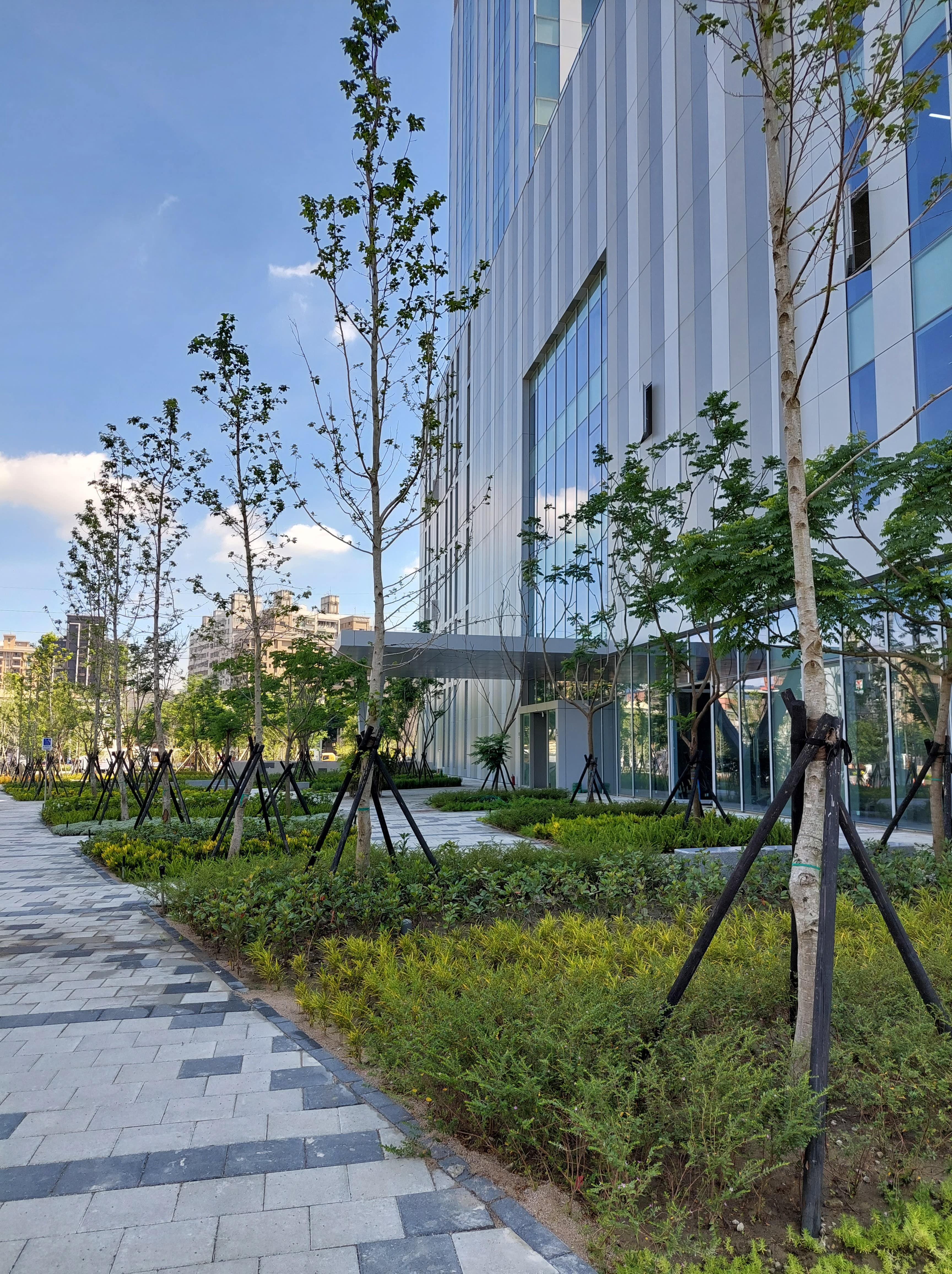 國泰人壽公司認養綠美化